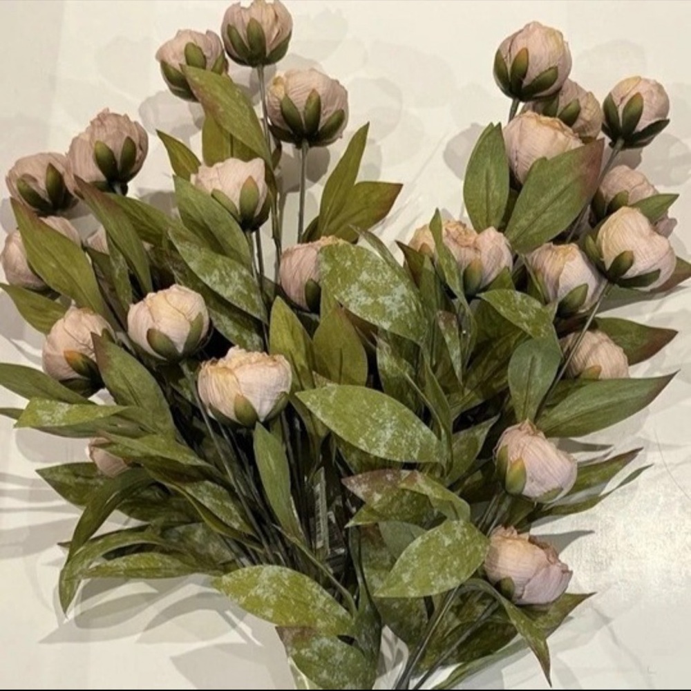 Viral Tan Peony Stems by Ashland Arrangement in off white Exaggerated Rim Vase - Picture 4 of 8